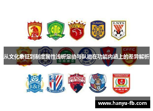 从文化象征到制度属性浅析足协与队徽在功能内涵上的差异解析 从文化象征到制度属性浅析足协与队徽在功能内涵上的差异解析
